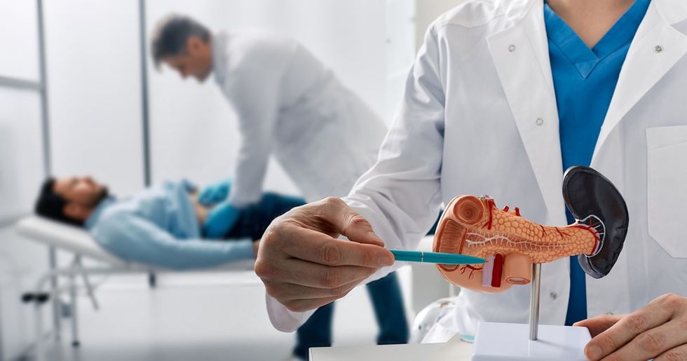 Pancreas iStock 1490650468