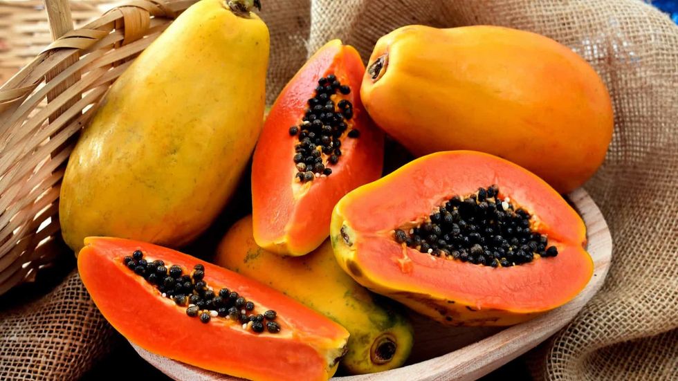 papaya