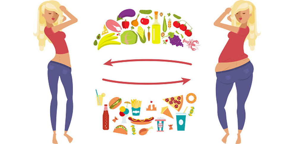 Paraqitja skematike e transformimit te organizmit