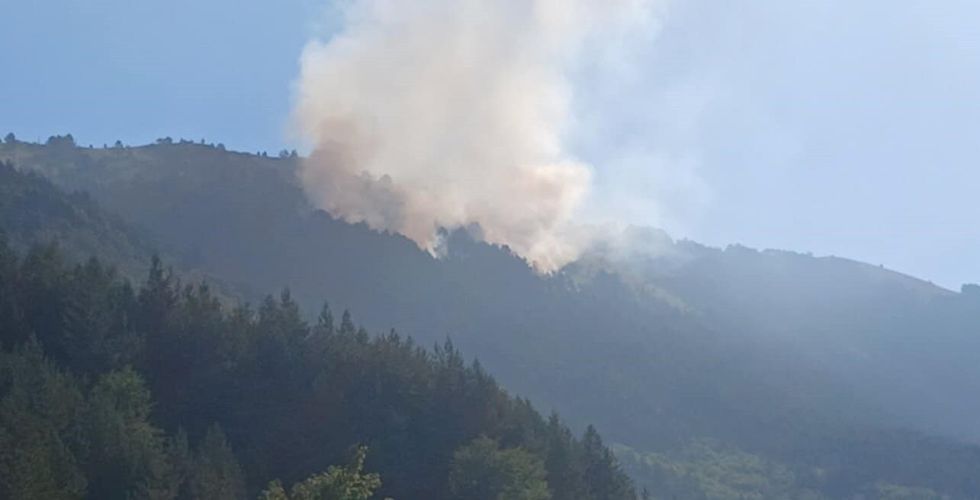 parku nacional sharri zjarri ne oshlak