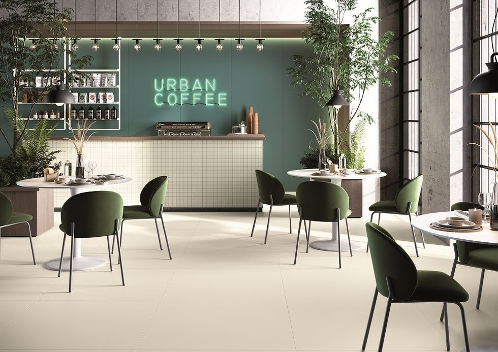 PASTELLI COMMERCIALE CAMELIA