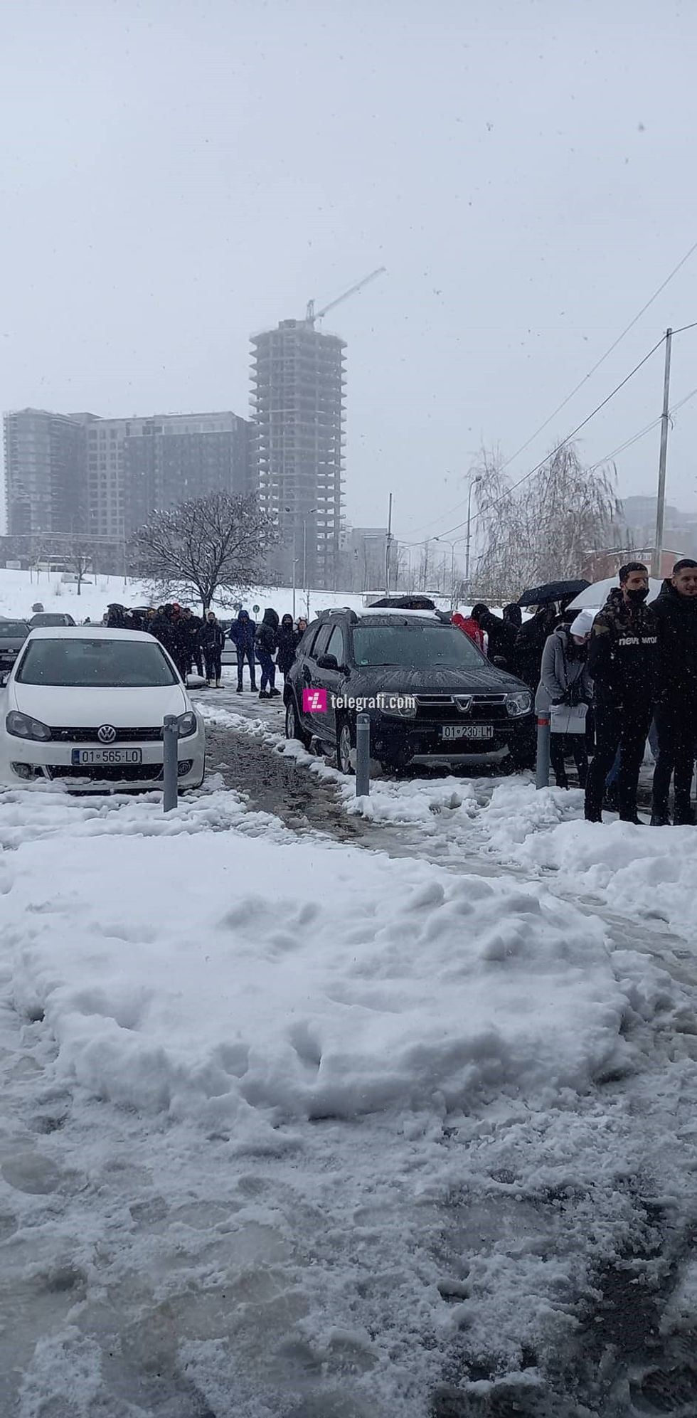 patent shofer PR 2 tlg