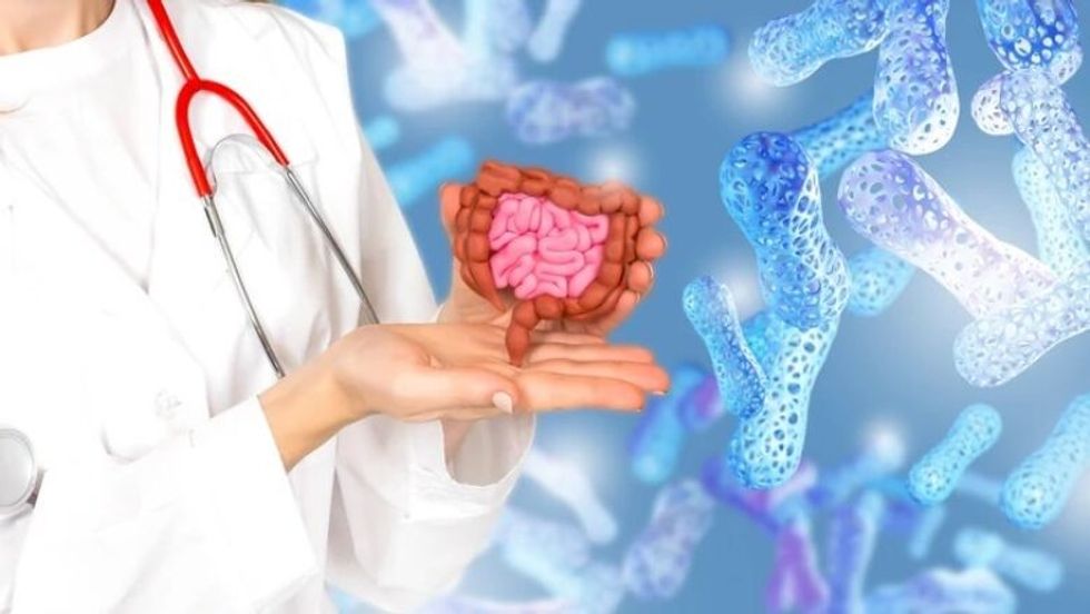 pcRk9kpTURBXy80Nzk4M