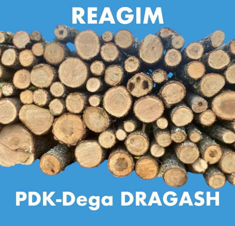 pdk dragash reagimi per drunjte