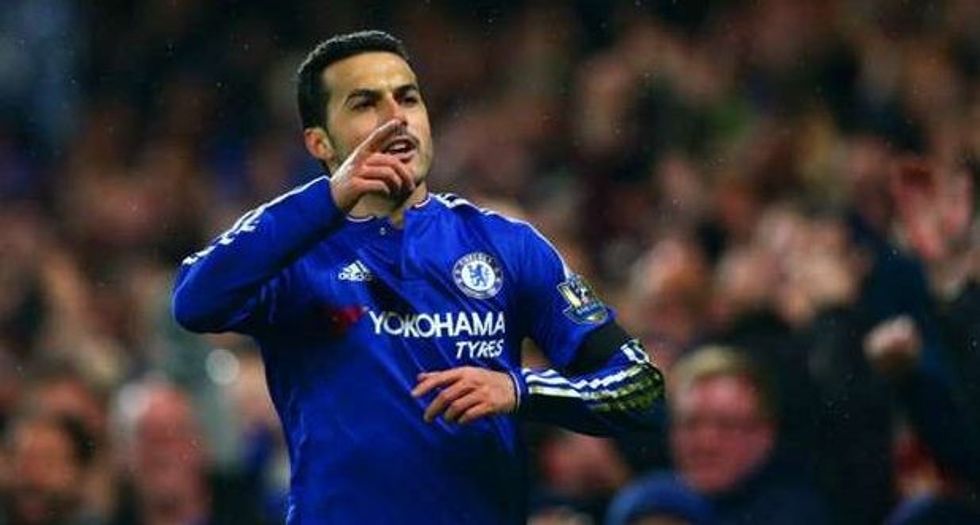 pedro e1482766140906