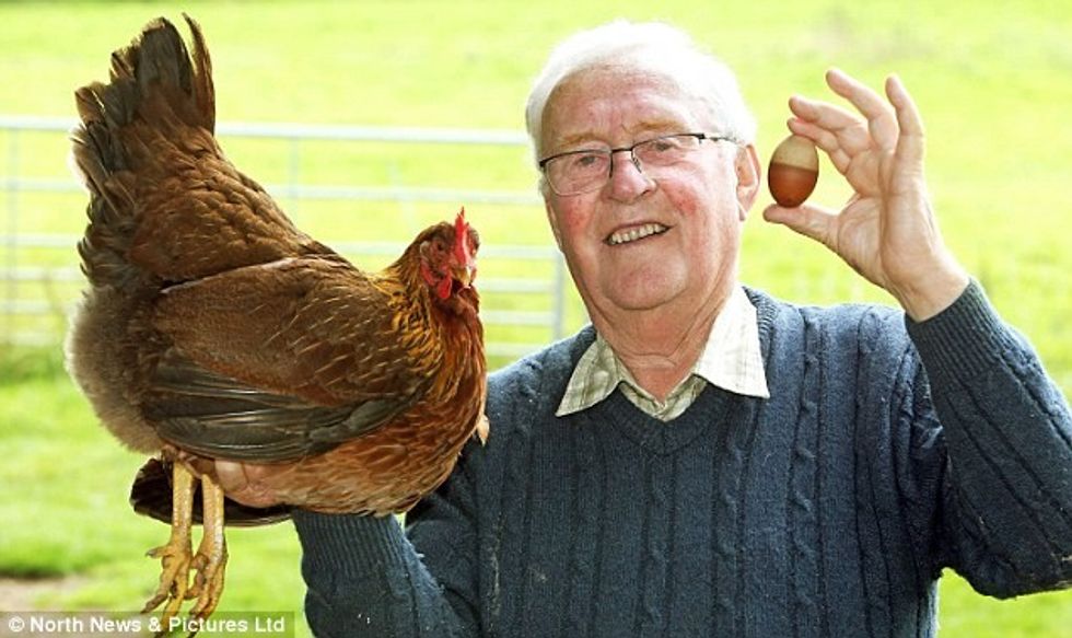 Pensionisti gjeti vezën me lëvozhgë dyngjyrëshe foto 3