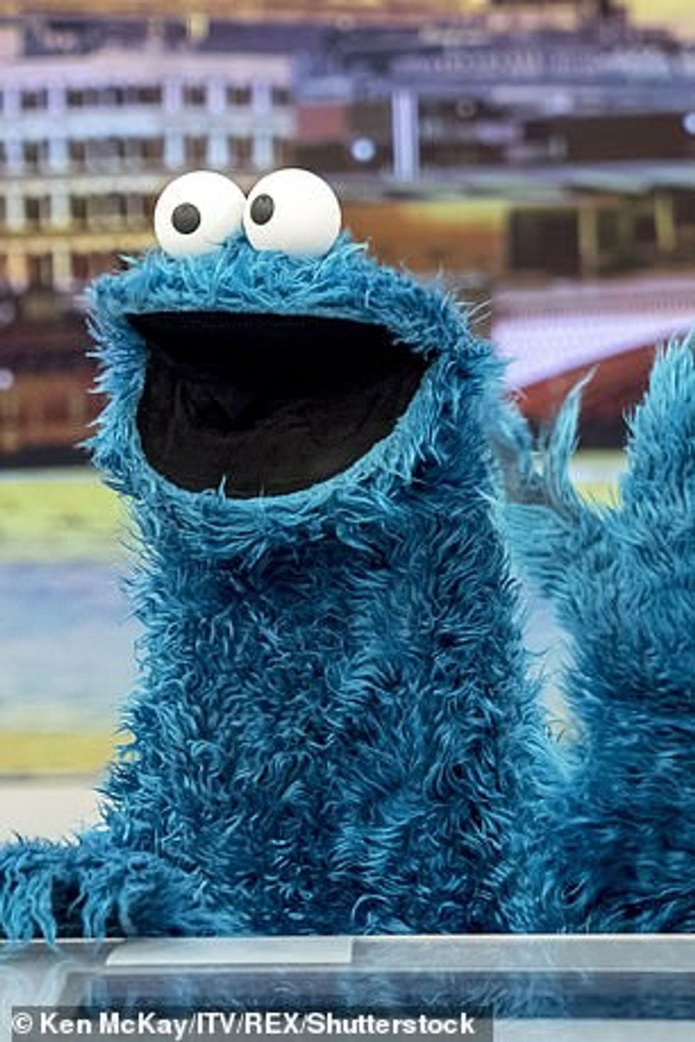 Përbindëshi i biskotave në foto