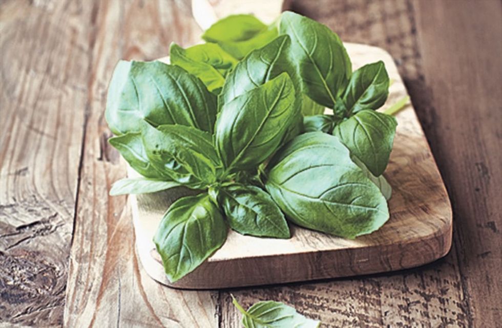 Përflakja e bronkeve