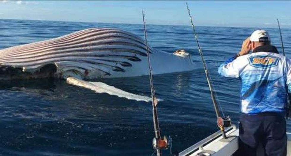 Peshkatari gjeti perbindeshin jashtetokesor duke levizur ne det foto 2