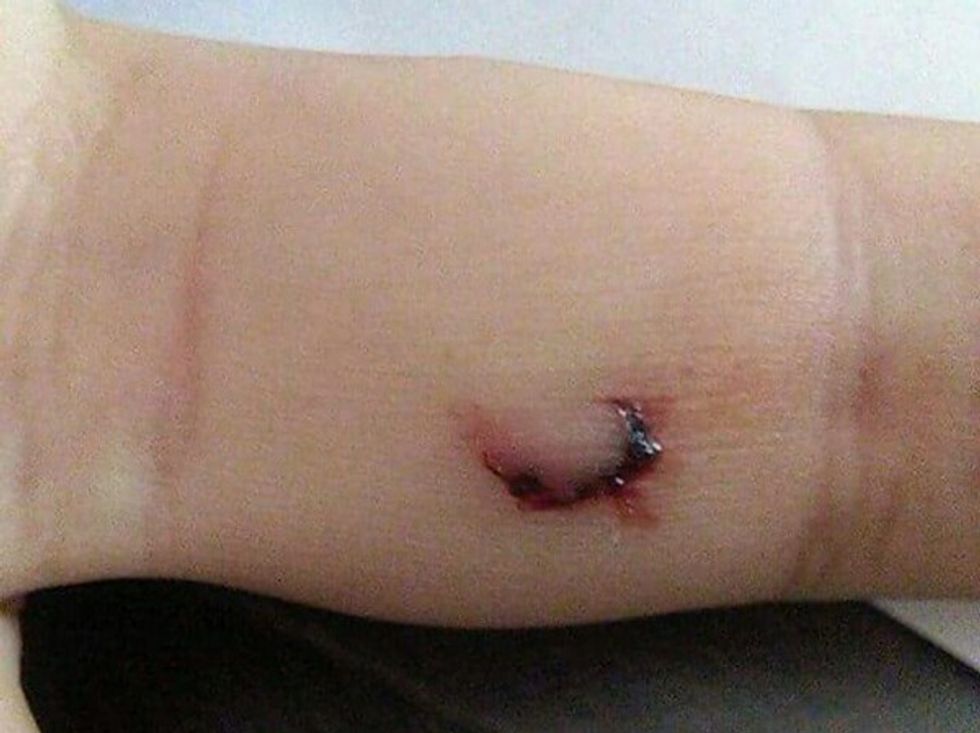 Peshku piranhia kafshon peshkatarin