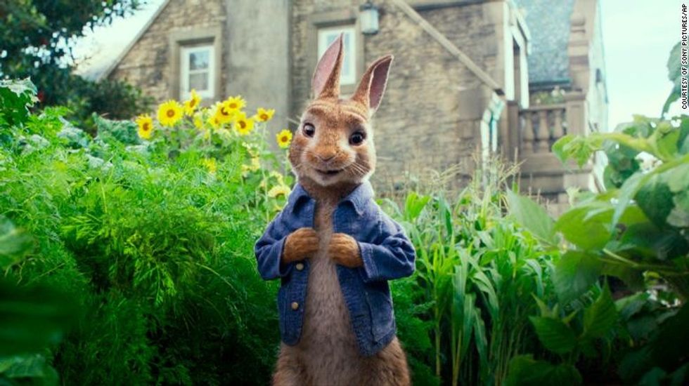 peter rabbit