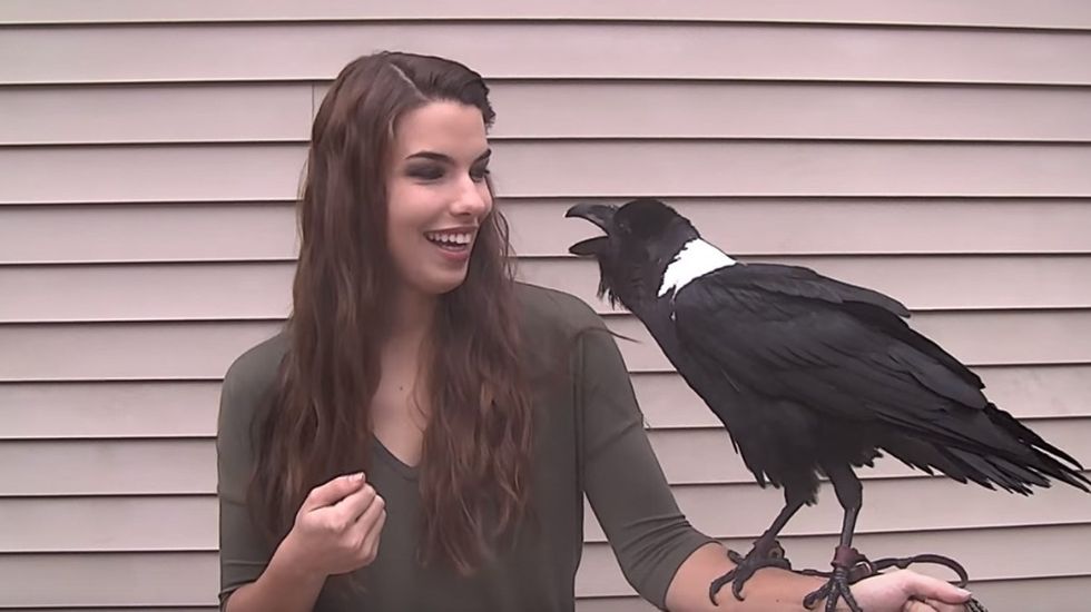 pexels luca nardone 3651615 1