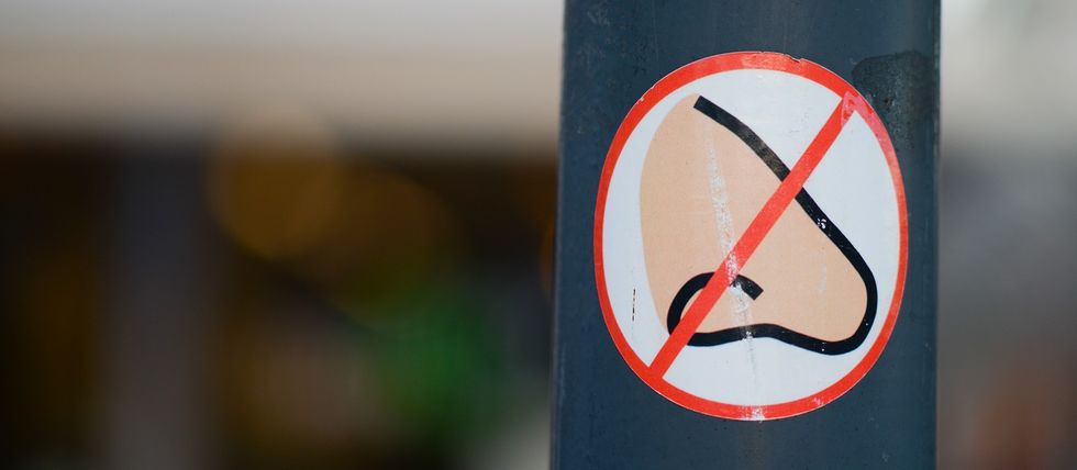 pexels skitterphoto 1571582