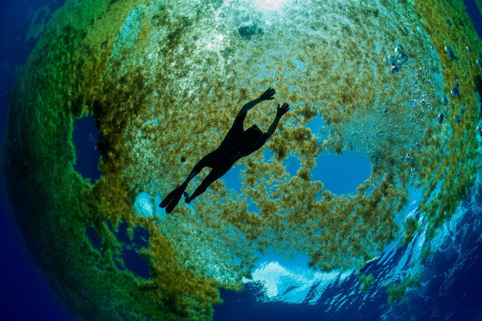 Philippe Rouja free diving under Sargas