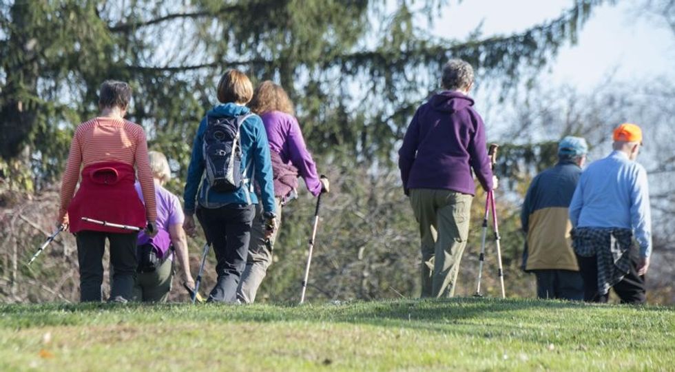 photo 1517732306149 e8f829eb588a