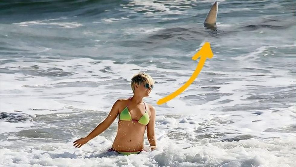 Pic shows: Simone Gutsche and the tiger shark just a few feet behind her; A blonde German model has spoken of the moment she was waving at people on the shore, unaware that they were desperately trying to tell her that a huge shark was swimming behind her. And the shocking moment was even captured on camera and shared in German media showing the huge shark with its fin poking out of the waters just behind the 34-year-old. Model Simone Gutsche said that she had been enjoying the beach and sunshine on a holiday in the American state of Florida. Gutsche, who as well as being a model is also a secretary and actress, had been spending some time relaxing at Cocoa Beach in Cape Canaveral when she decided to go into the sea. She said: