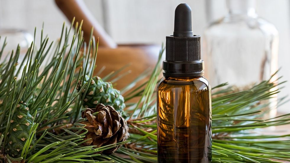 Pine essential oil