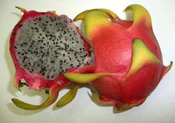 Pitaya dragon fruit