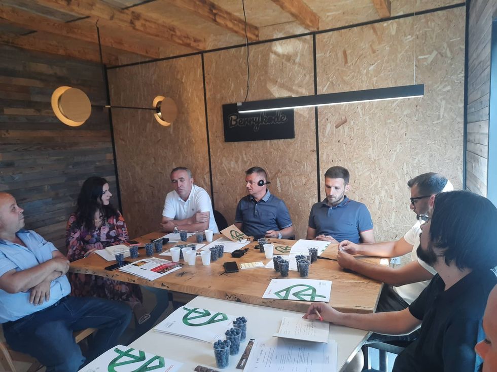 pjesemarresit berrykode