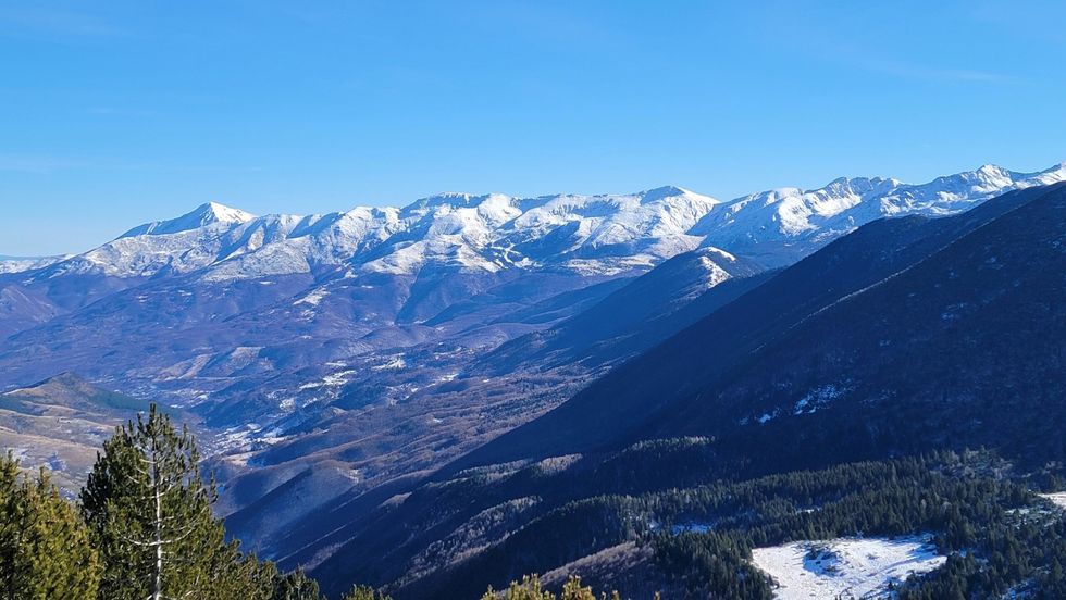 PK Sharri MC PC scaled