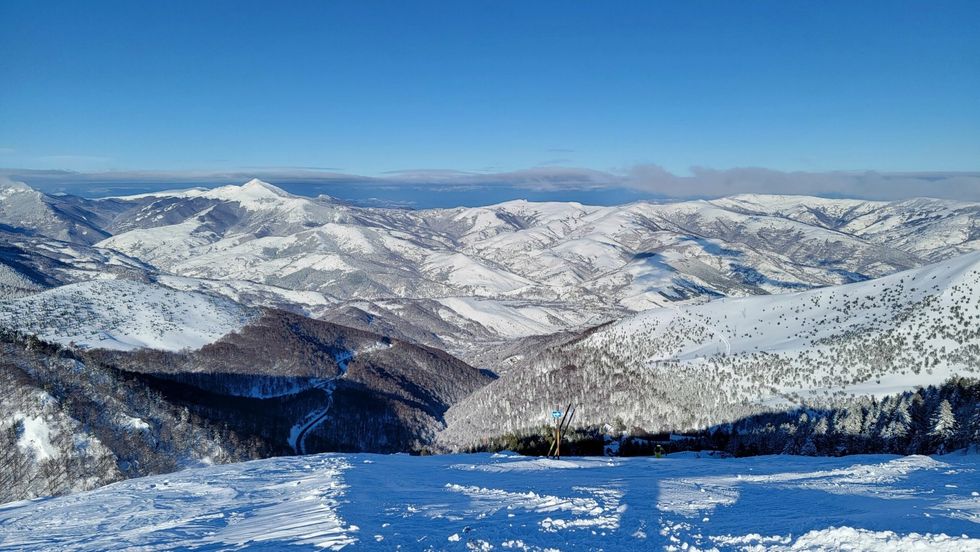 PK Sharri MC PCor scaled