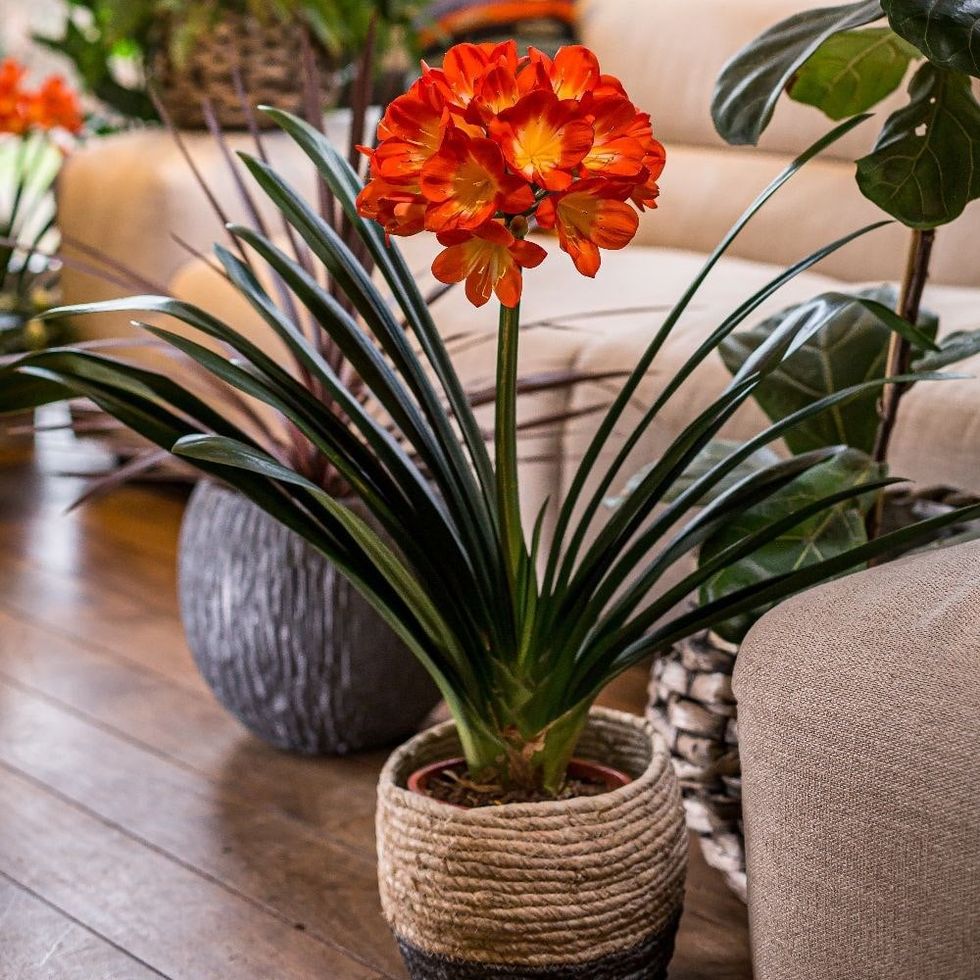 pl2000027724 card6 lg