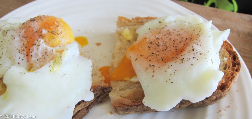 poachedegg 1 of 1 16