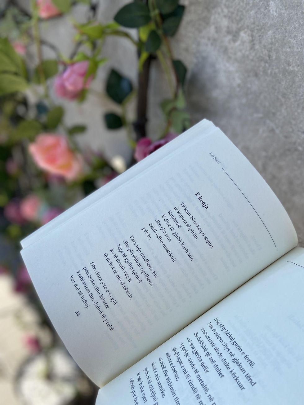 poezi E KEQJA scaled