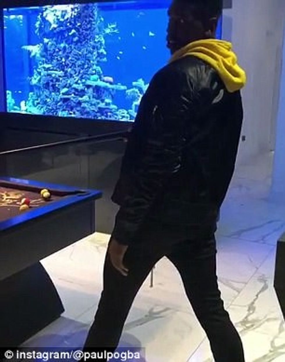 pogba 5