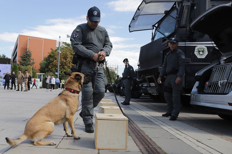 Policia e Kosoves i ekspozon me rastin e 24 vjetorit te themelimit Njesiti i qenve foto Ridvan Slivova 15