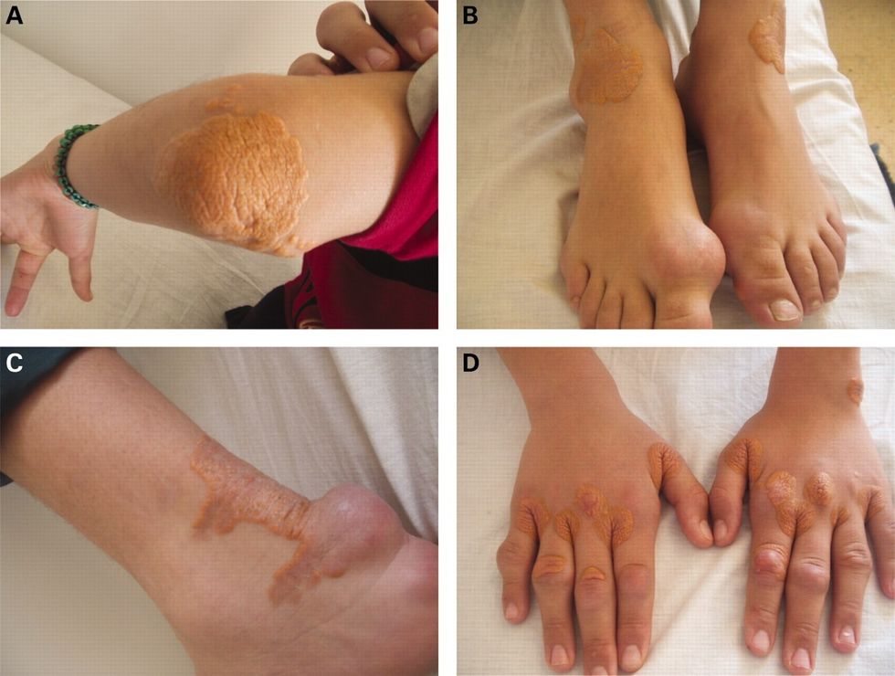 postgradmedj 2009 February 85 1000 111 F1.large