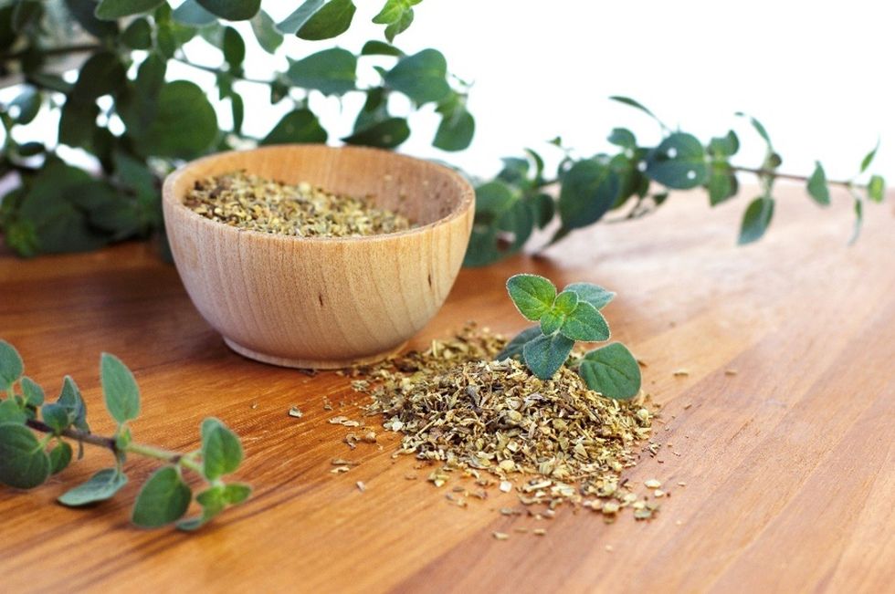 Potential Health Benefits of Oregano