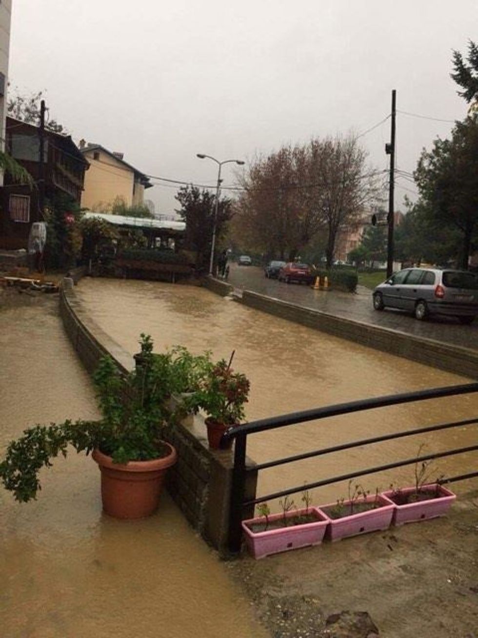 pp_1478595006-9108650