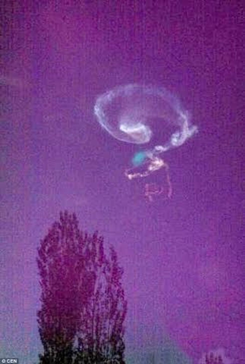 pp02