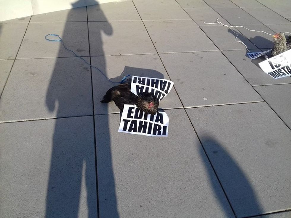 ppp 1482238674 9997357