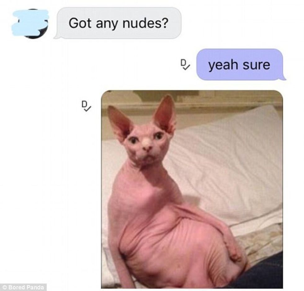 Pranuan imazhe të çuditshme pasi kerkuan ti shohin bashkebisedueset e zhveshura foto 3