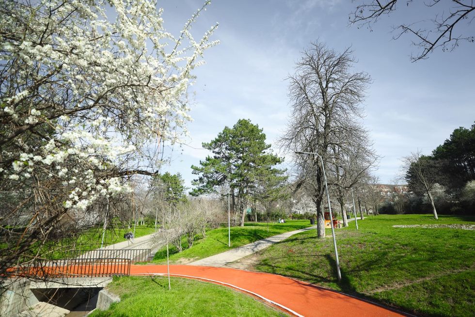 Pranvera ne Prishtine 1