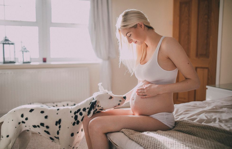 pregnant woman with dog