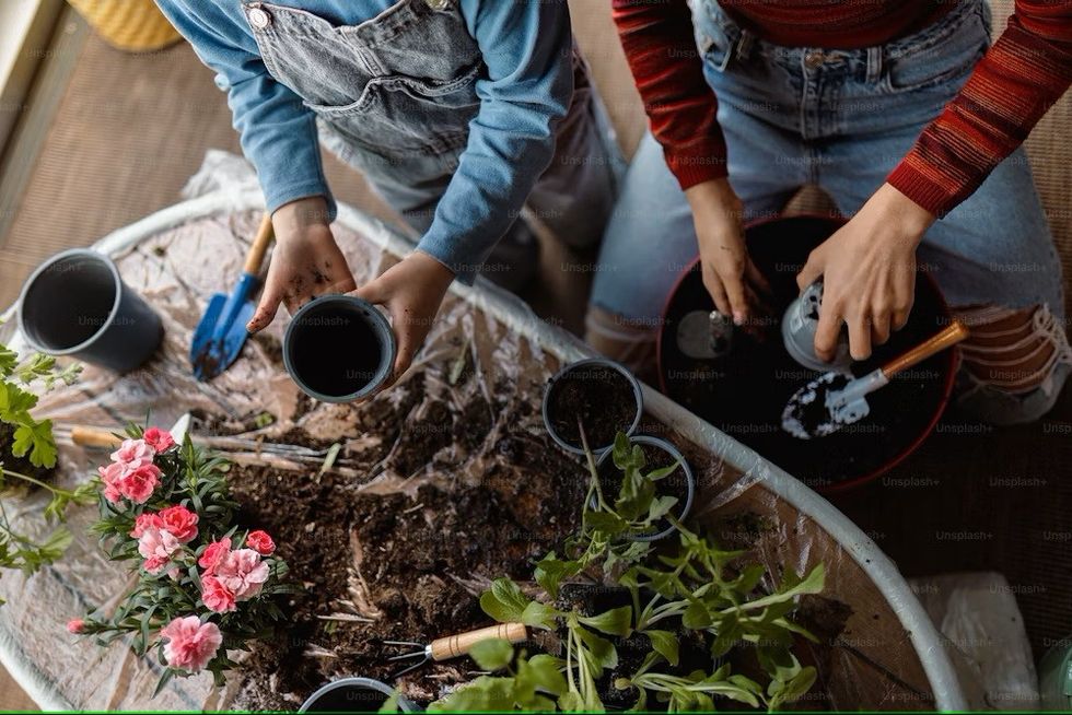 premium photo 1663091498303 15252d7141d1