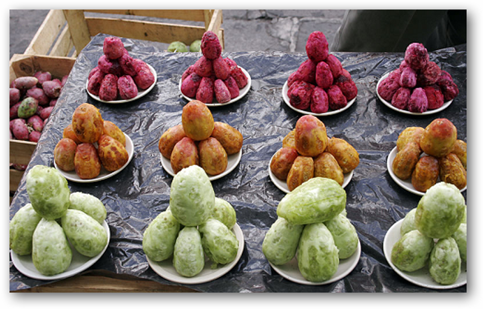 Prickly Pear Cactus Fruit