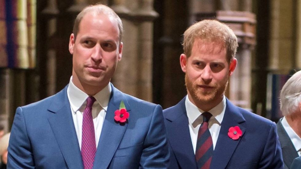 prince william prince harry