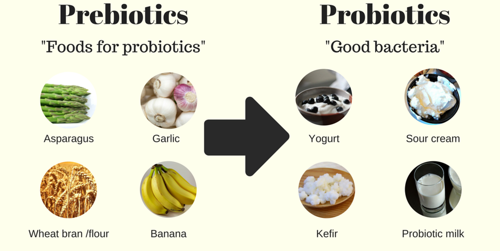 probiotics prebiotics