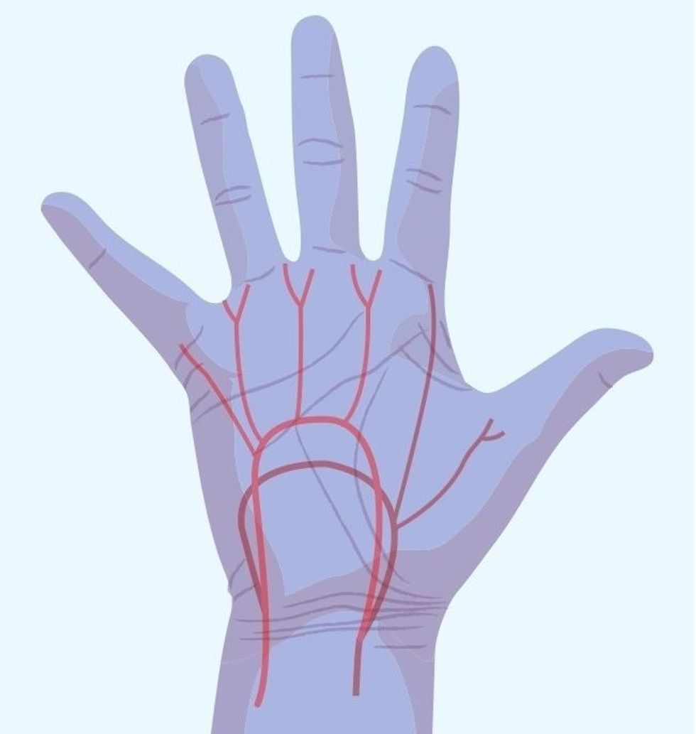 Probleme me qarkullimin e gjakut