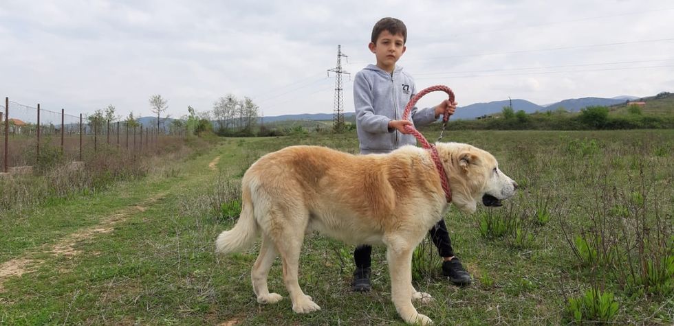 processed 2aa9efec fdce 4fb0 a7ff 618742088f35 FwEFEmZB