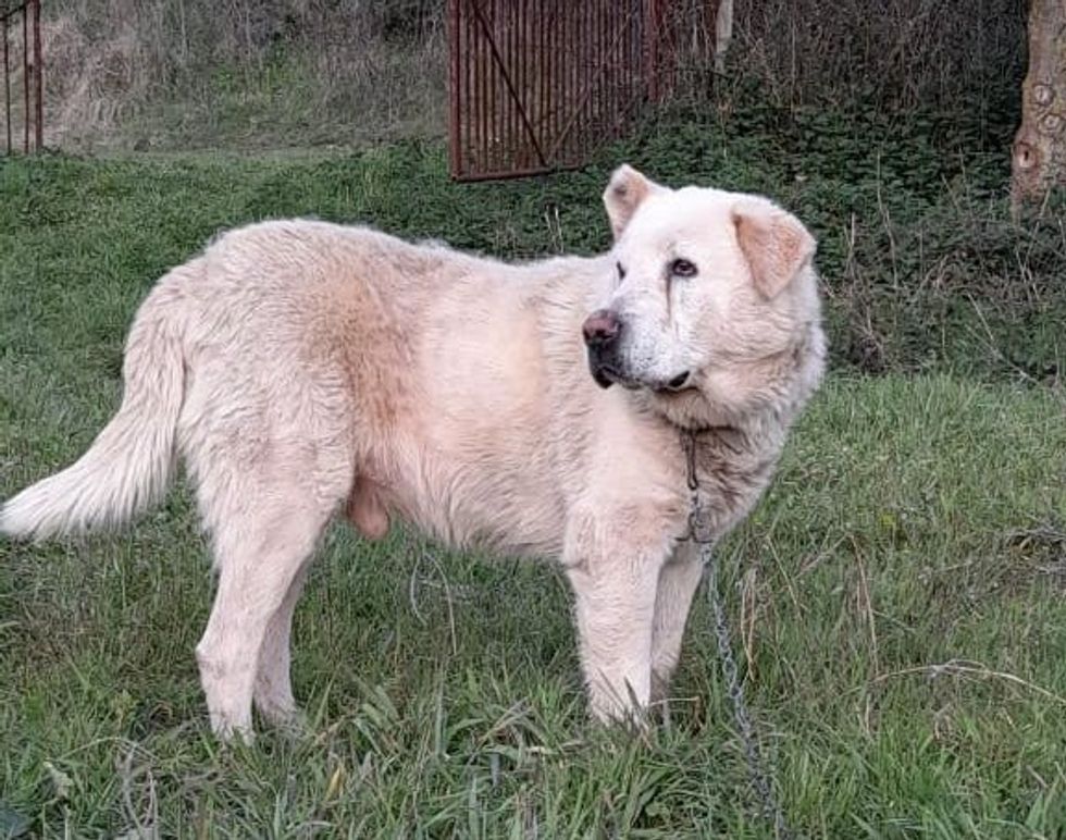 processed a2b95eba 855c 4751 b0fe a290a517240f ZJ4mMVGd e1640985925805