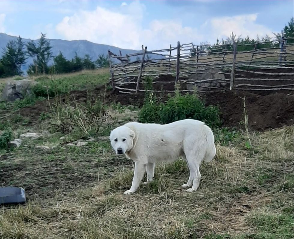 processed d320f794 22d4 4e2e aa12 dc25f0635f3c tkf0sYug