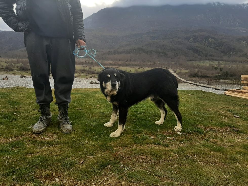 processed dd77a7e5 7a70 4ab1 bcf8 4e6c10bb3746 Qqb0vQwR