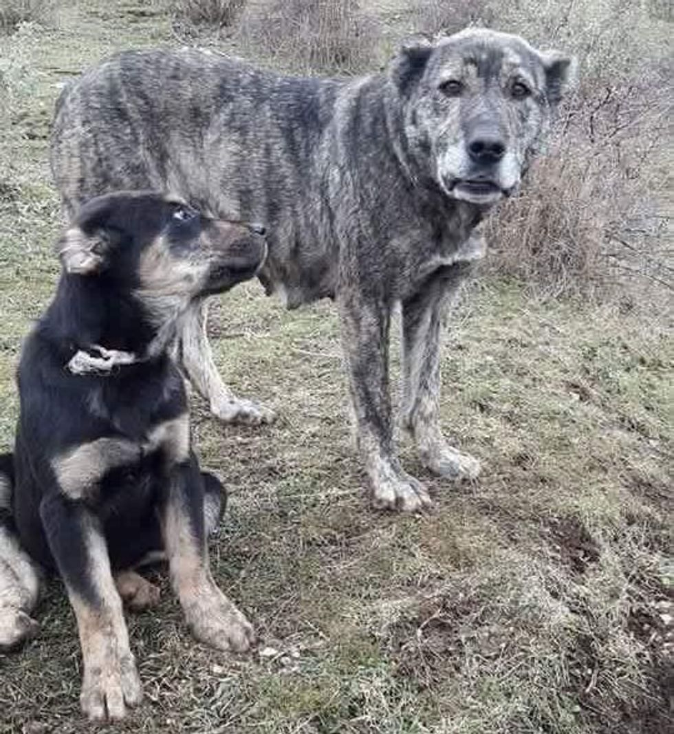 processed f2eb671f c0cf 4bff 8e61 b14234c79cb3 EFtLAmHa e1640985999377