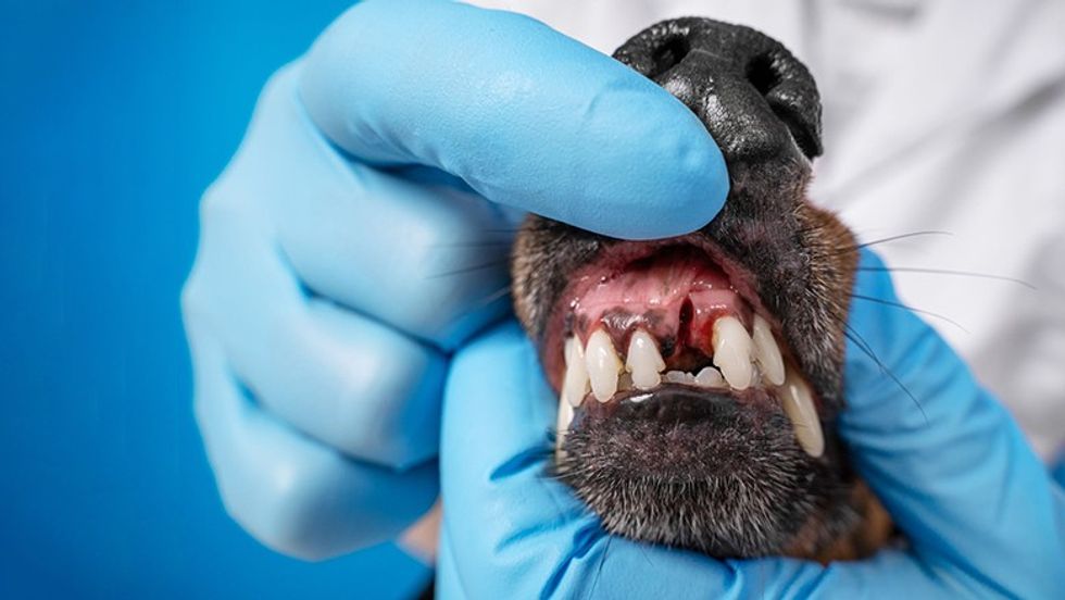 profimedia 0817760105