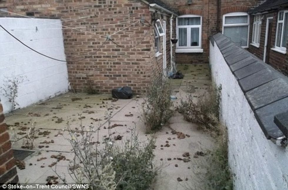 Pronarja e oborrit të papastër u dënua me njëmijë euro foto 2